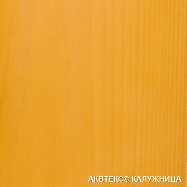 Акватекс 2в1 (Антисептирующая краска) 3л калужница