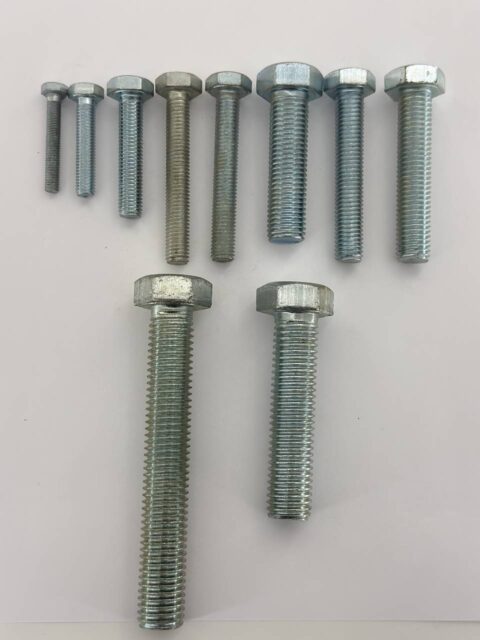 Болт 10*100