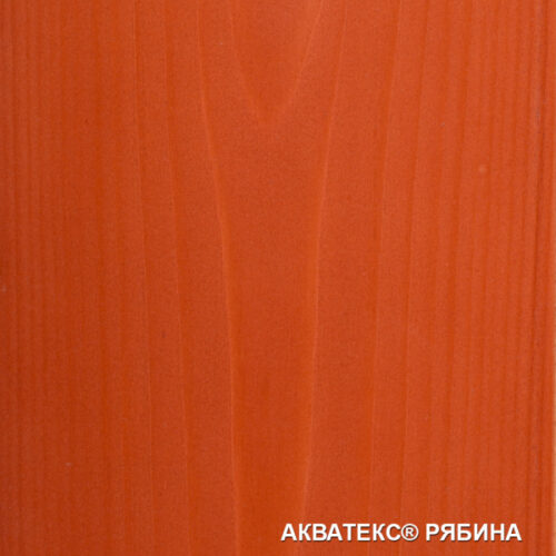 Акватекс 2в1 (Антисептирующая краска) 3л рябина